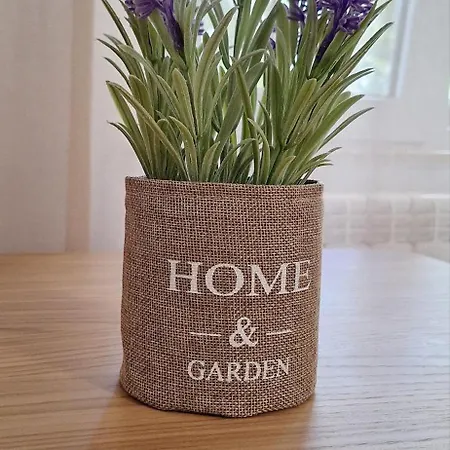 Cezar Faleza-nord Constanta-plaja Reyna Apartman *